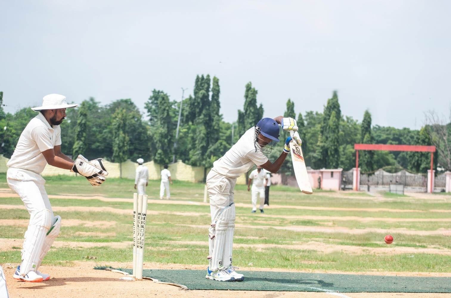 img cricket